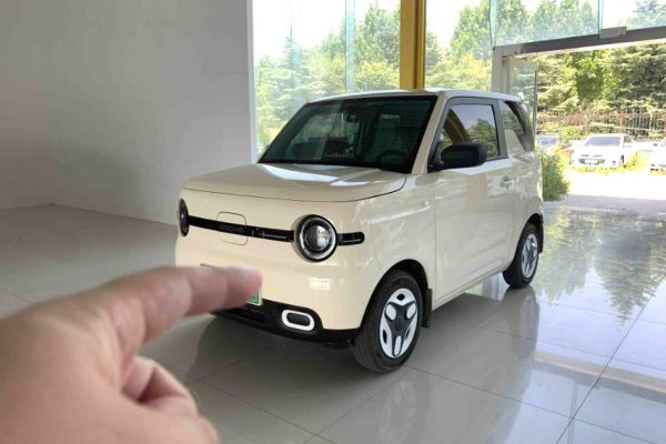 2025 Geely Panda Mini EV
