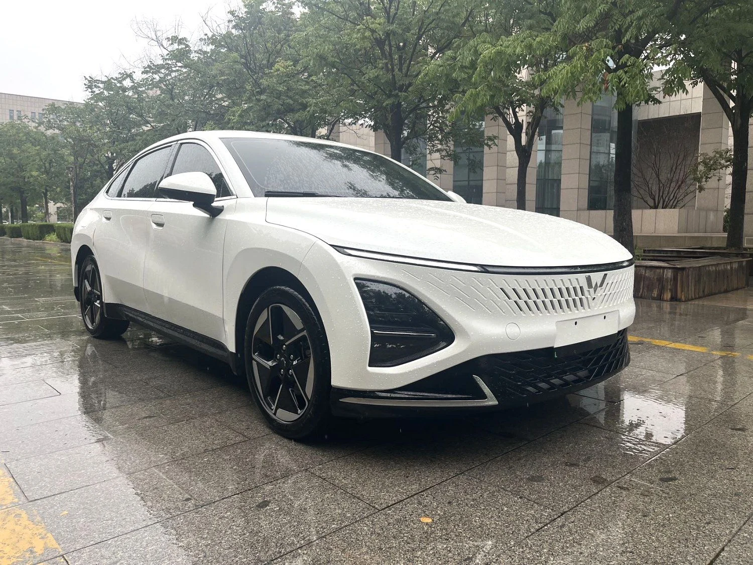 2023 Wuling Starlight