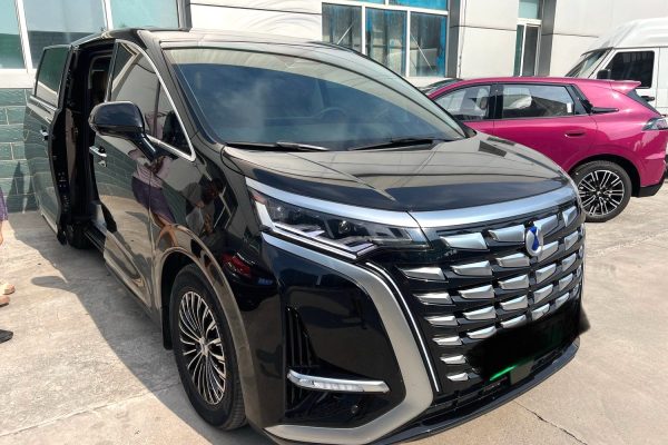 024 BYD Denza D9 DM-i