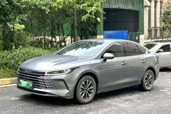 2024 BYD Destroyer 05