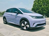 2023 BYD Dolphin