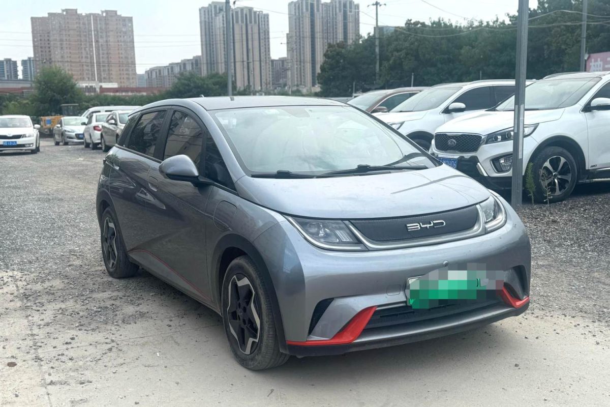 2021 BYD Dolphin