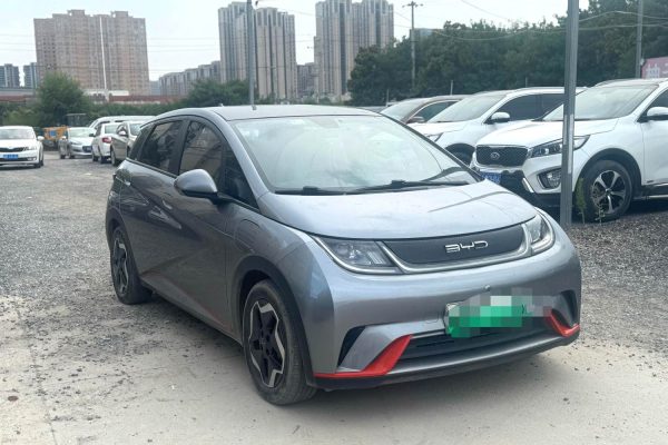 2021 BYD Dolphin