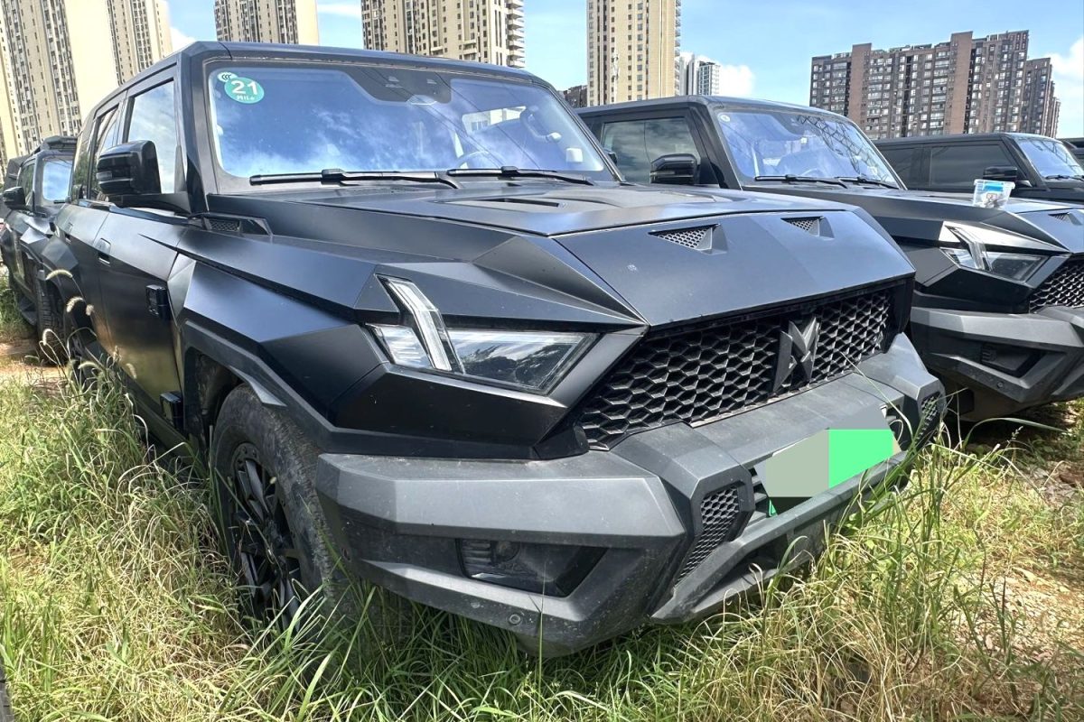 2023 Dongfeng M-Hero 917