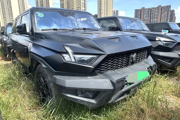 2023 Dongfeng M-Hero 917
