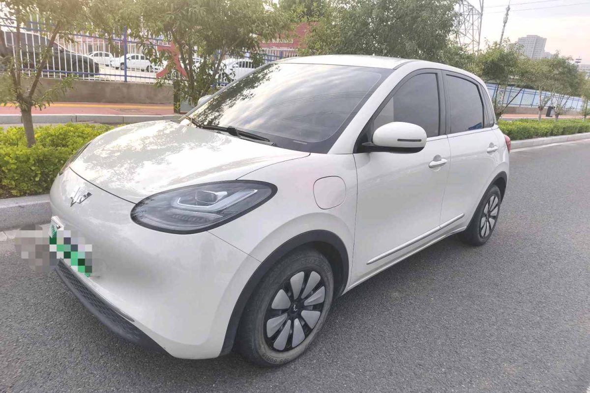 2024 Wuling Bingo