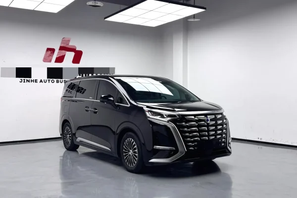 2024 BYD Denza D9 DM-i
