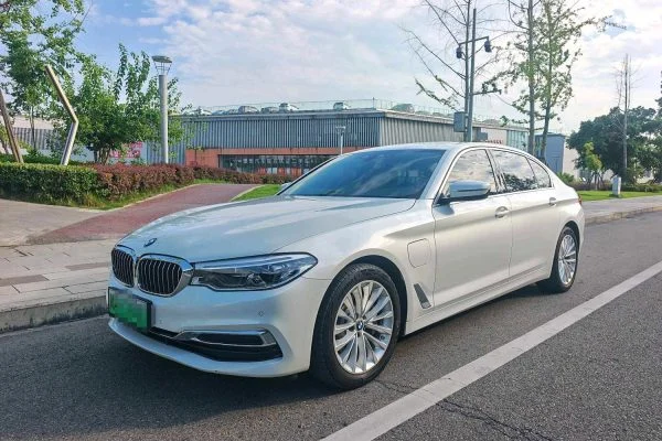 2020 BMW 530Le 2.0T