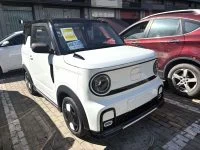 2025 Geely Panda Mini