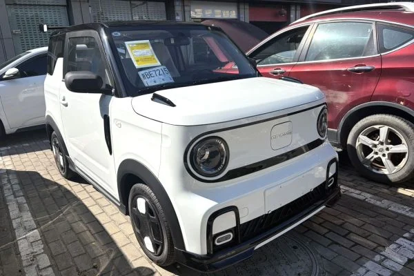 2025 Geely Panda Mini