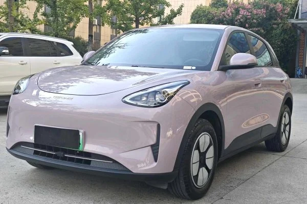 2025 Geely Xingyuan 310km Youth Edition