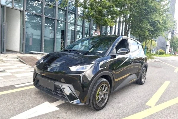 2024 BYD Seagull Honor Edition