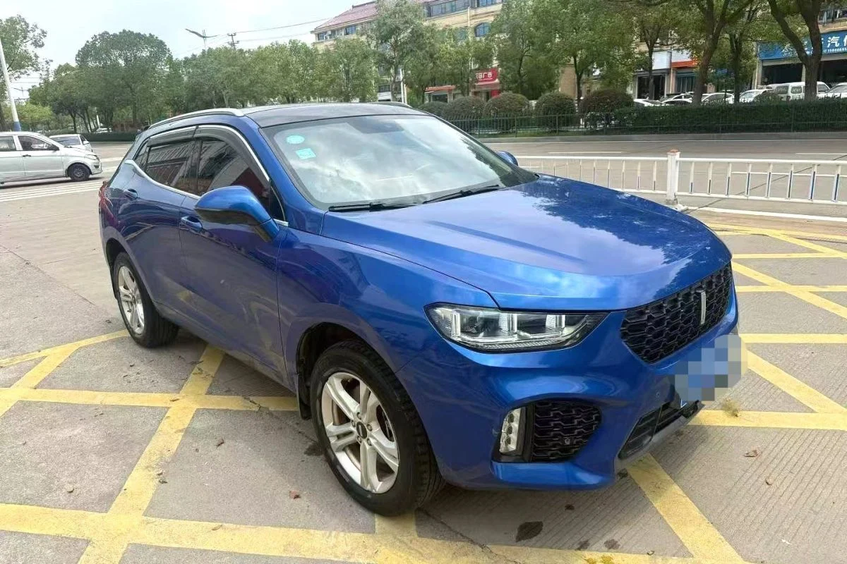 2019 WEY VV5 1.5T Yan Pioneer Edition