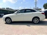 2019 BAIC BJEV EU300 EV
