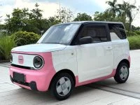 2023 Geely Panda Mini 200km Endurance Bear