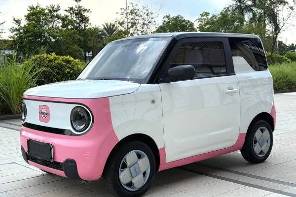 2023 Geely Panda Mini 200km Endurance Bear
